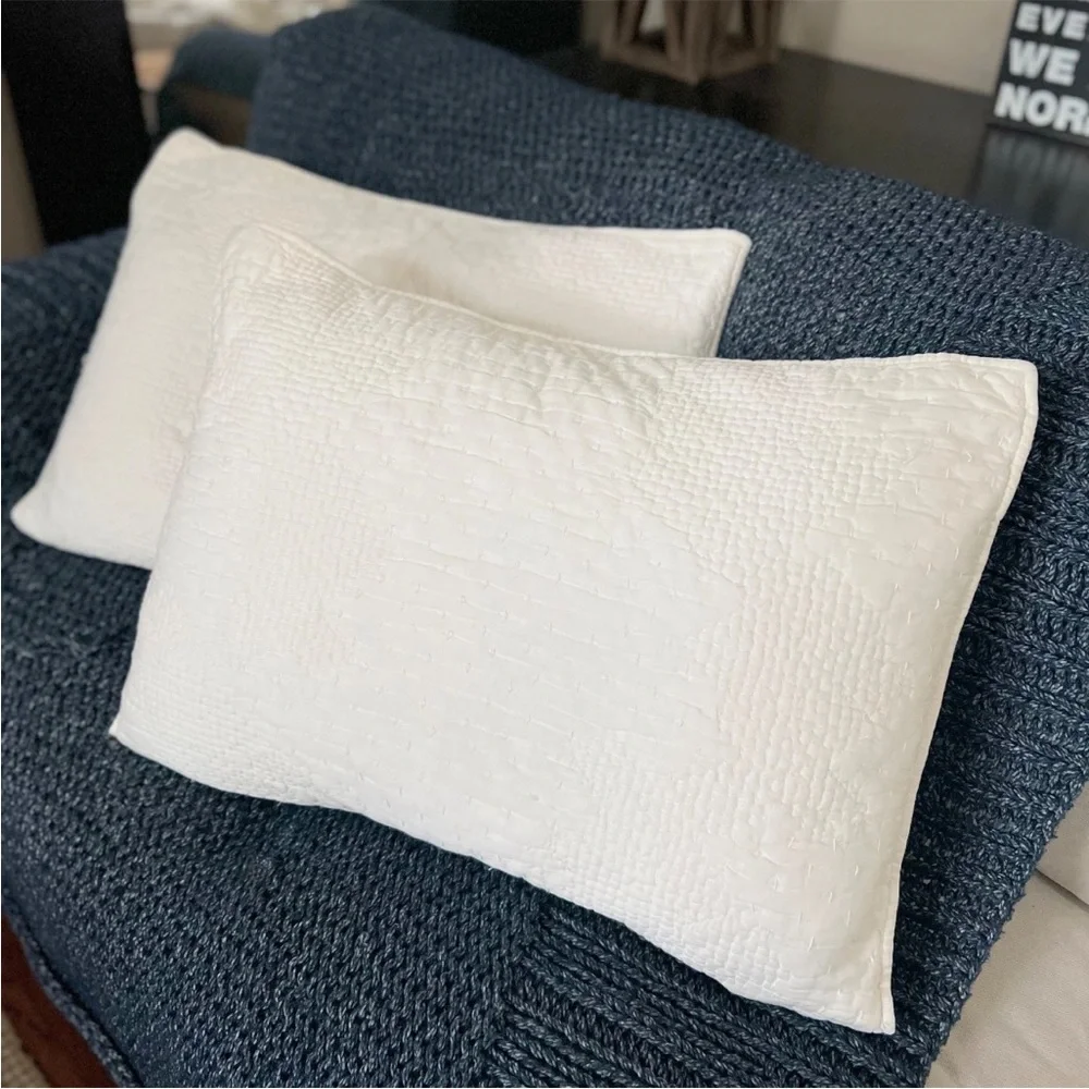 2 Pottery Barn Cotton & Silk Cross Stitch Standard Shams Ivory Cream White Pick - Picture 6 of 9